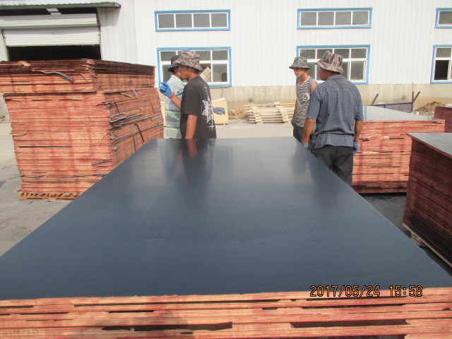 Film Faced Plywood